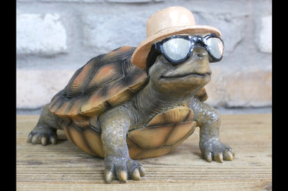 Holiday Tortoise