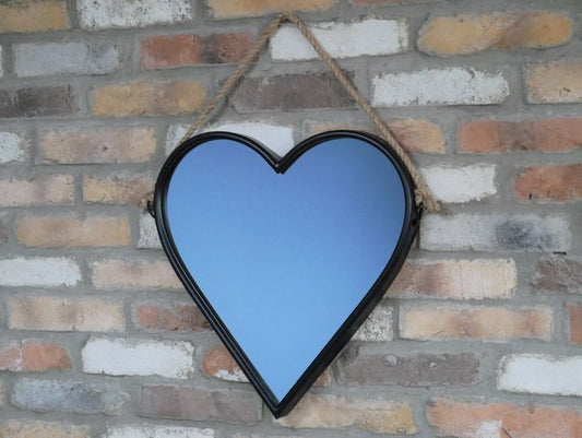 Heart Mirror