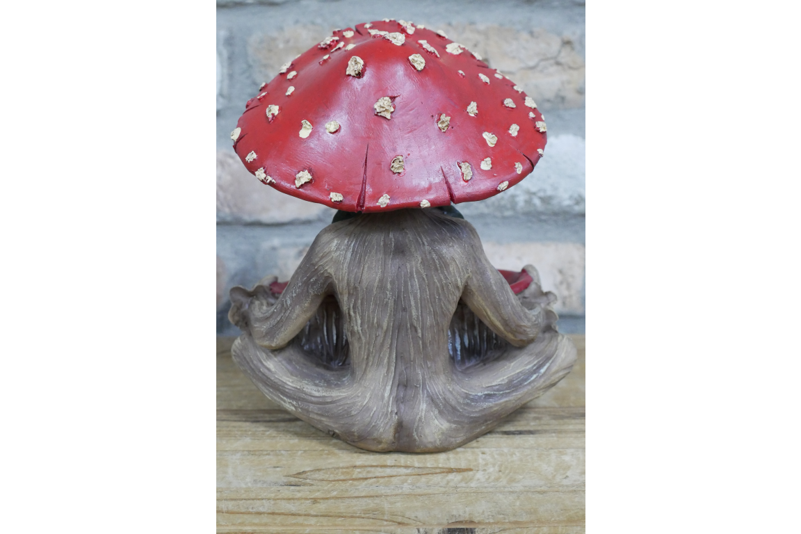 Mushroom Man