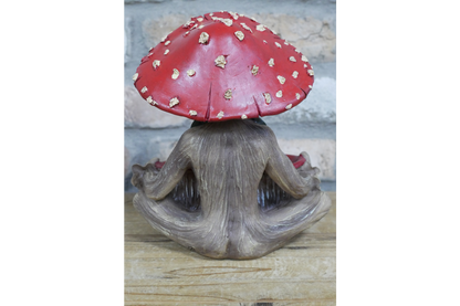 Mushroom Man