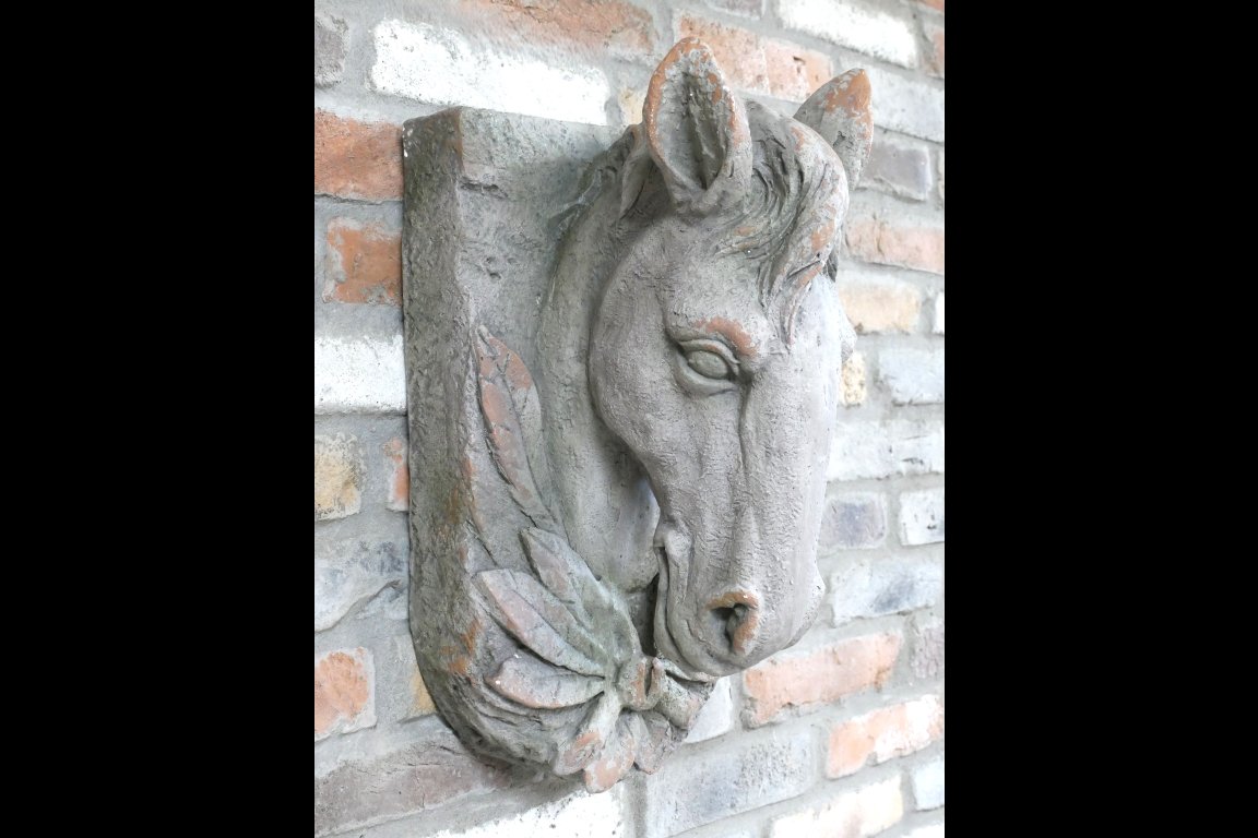 Horse Head