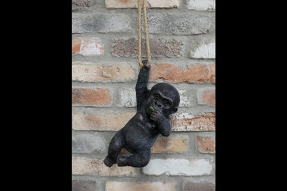 Hanging Baby Gorilla