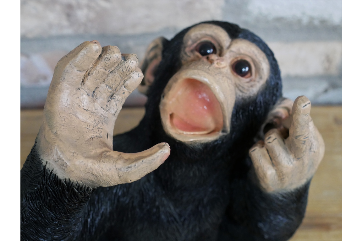 Up Yours Monkey Wine Holder