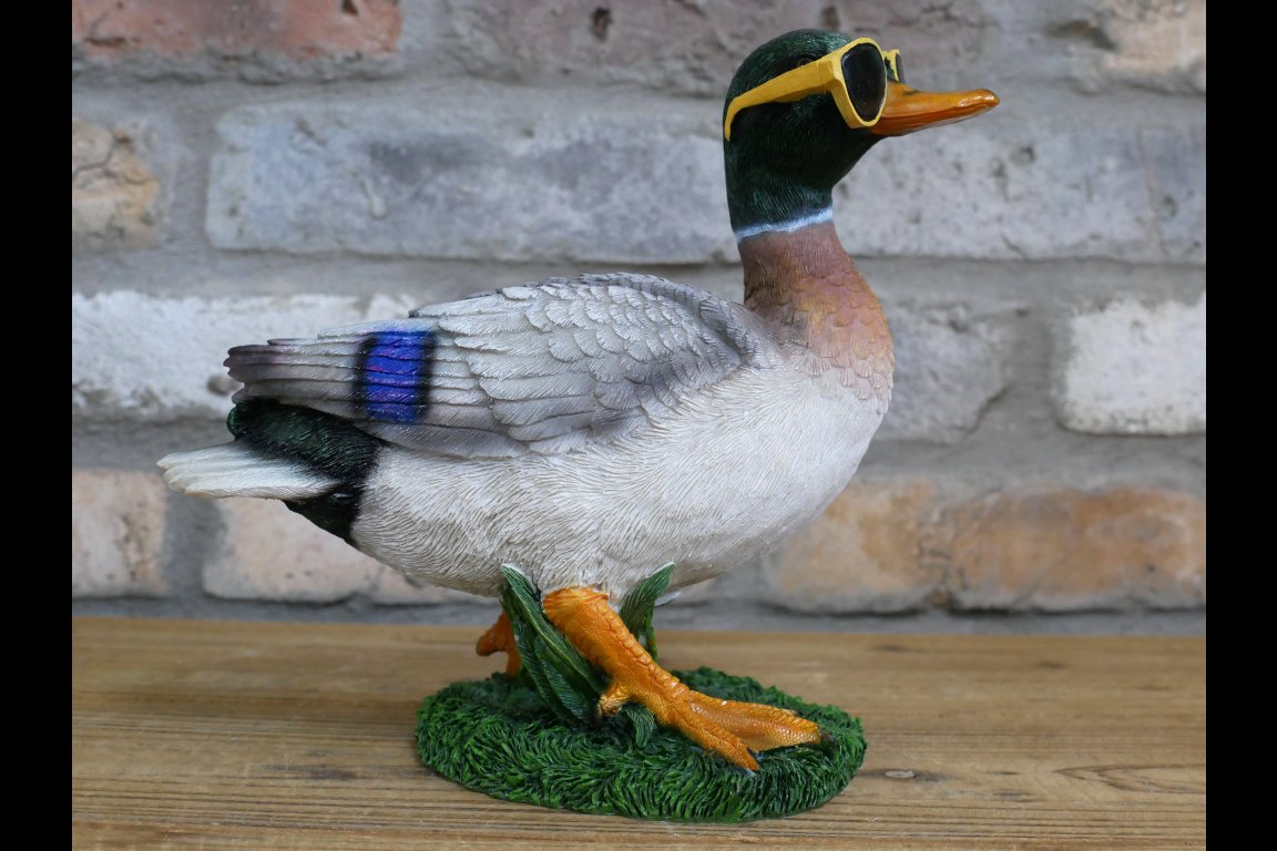 Duck In Shades