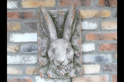Rabbit Head