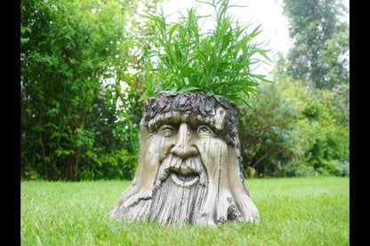Tree Stump Planter
