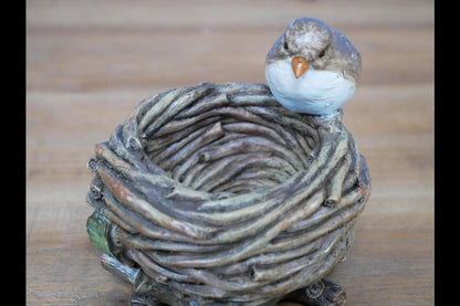 Bird Nest Bowl