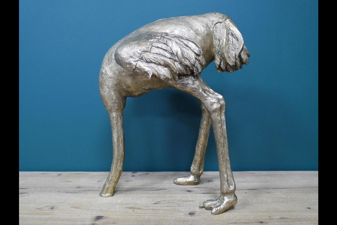 Ostrich (Head In Sand)
