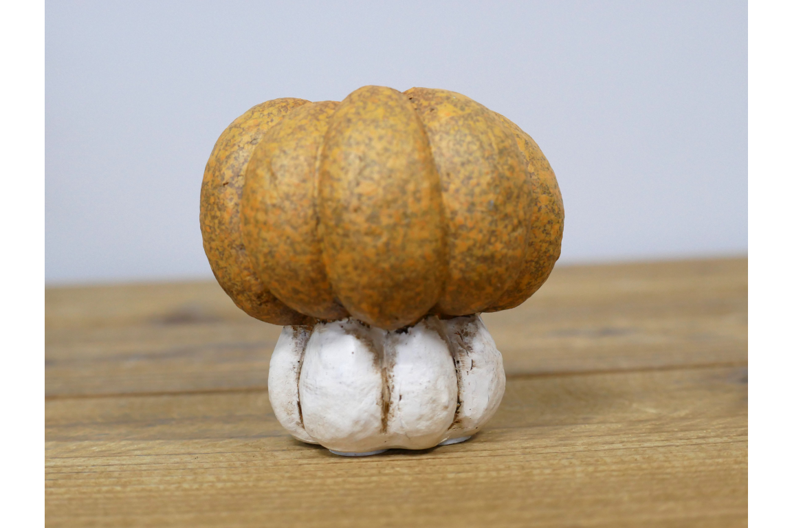 Small Pumpkin