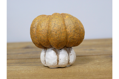 Small Pumpkin
