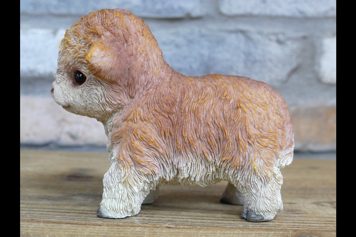 Tiny Baby Cow