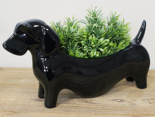 Sausage Dog Planter