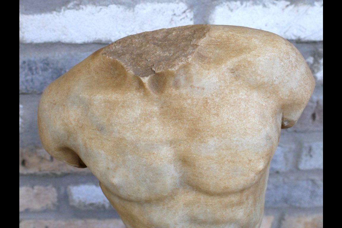 Hand Carved Marble Torso