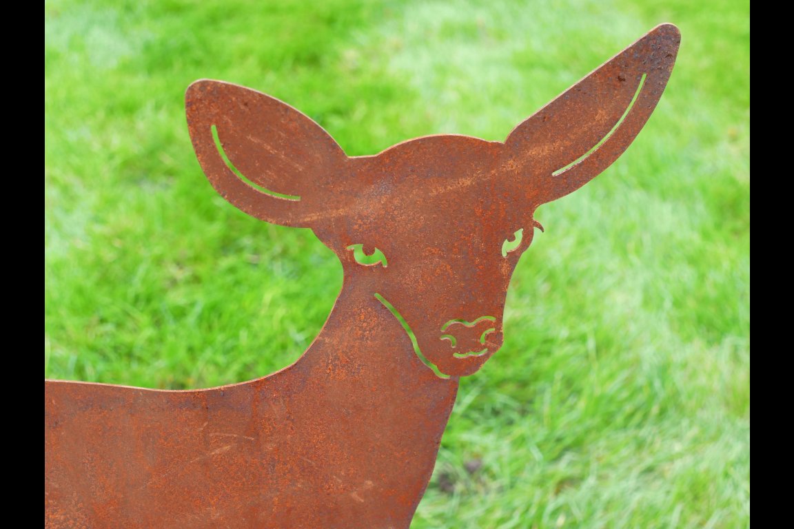 Small Rusty  Deer