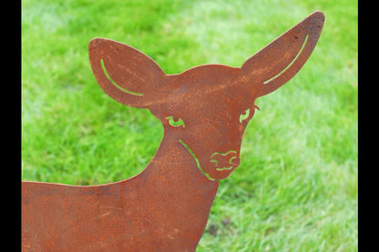 Small Rusty  Deer