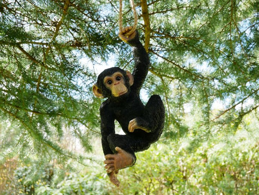 Climbing Monkey