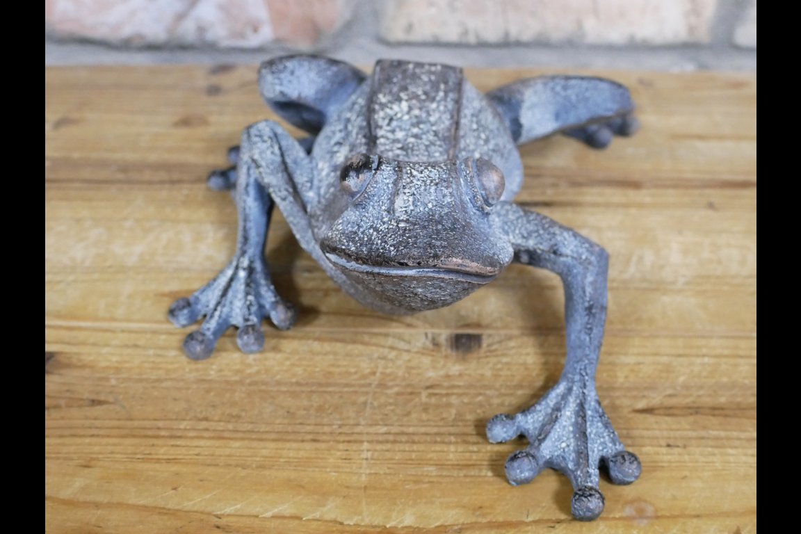 Frog