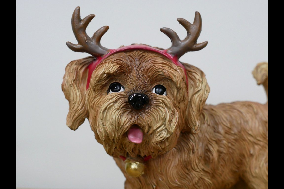 Dog With Antler Ears