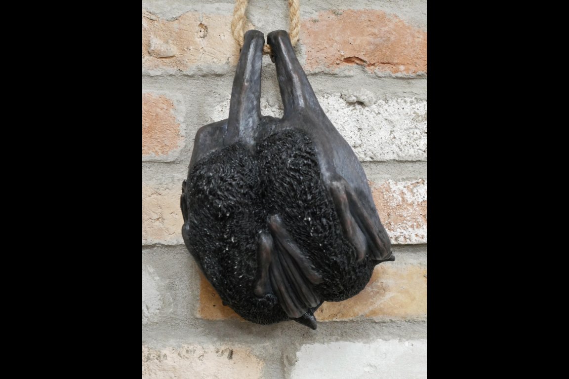 Hanging Bats