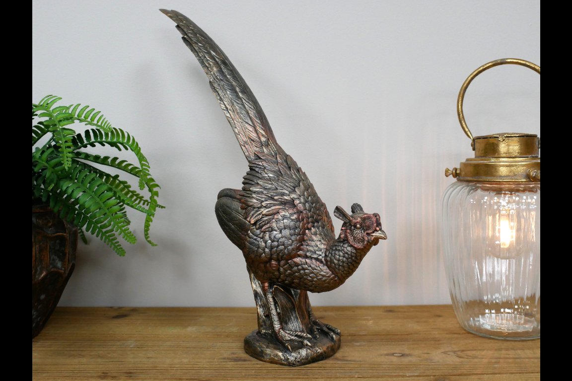 Pheasant