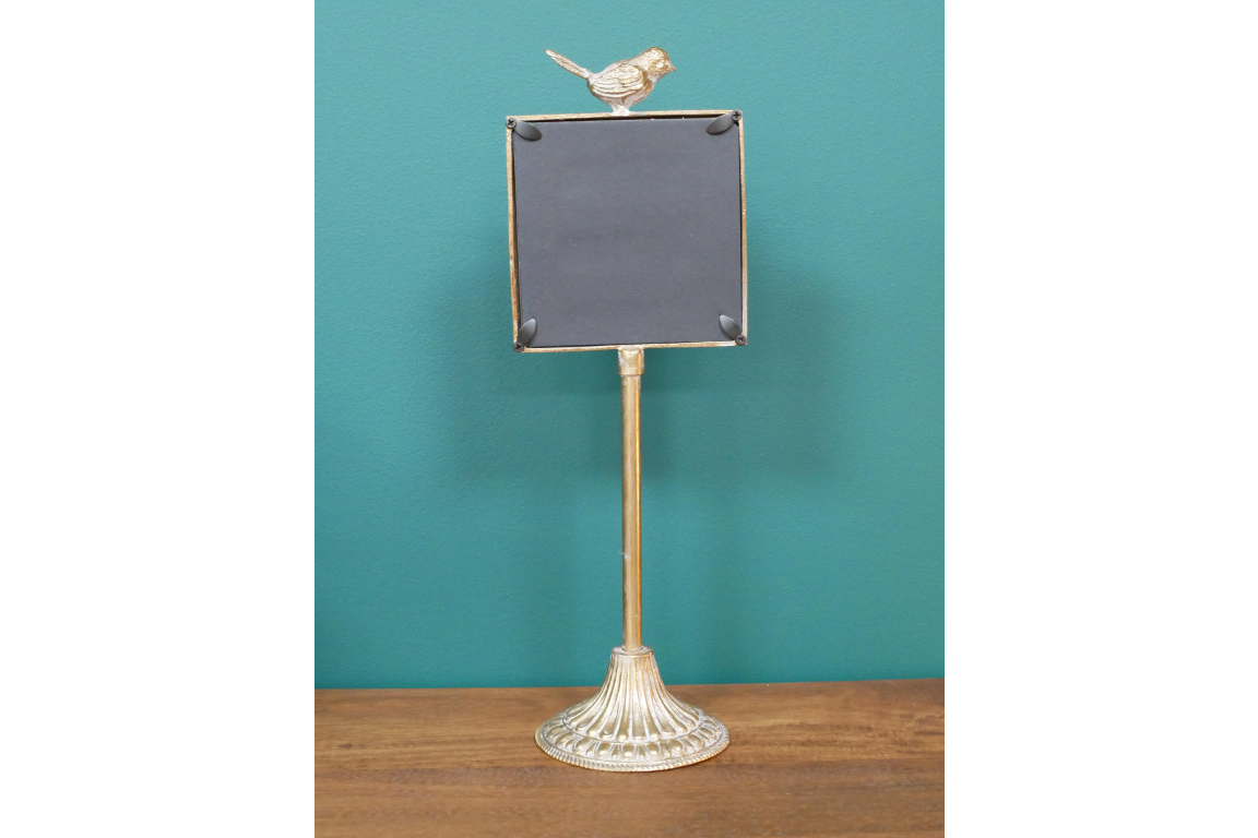 Bird Mirror