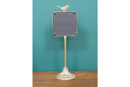 Bird Mirror