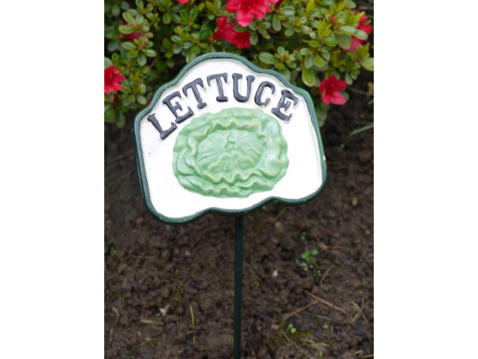 Lettuce Sign