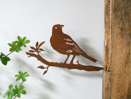Bird Spike
