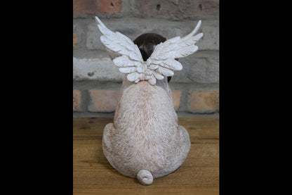 Flying Pig