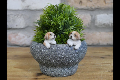 Small Dog Trough