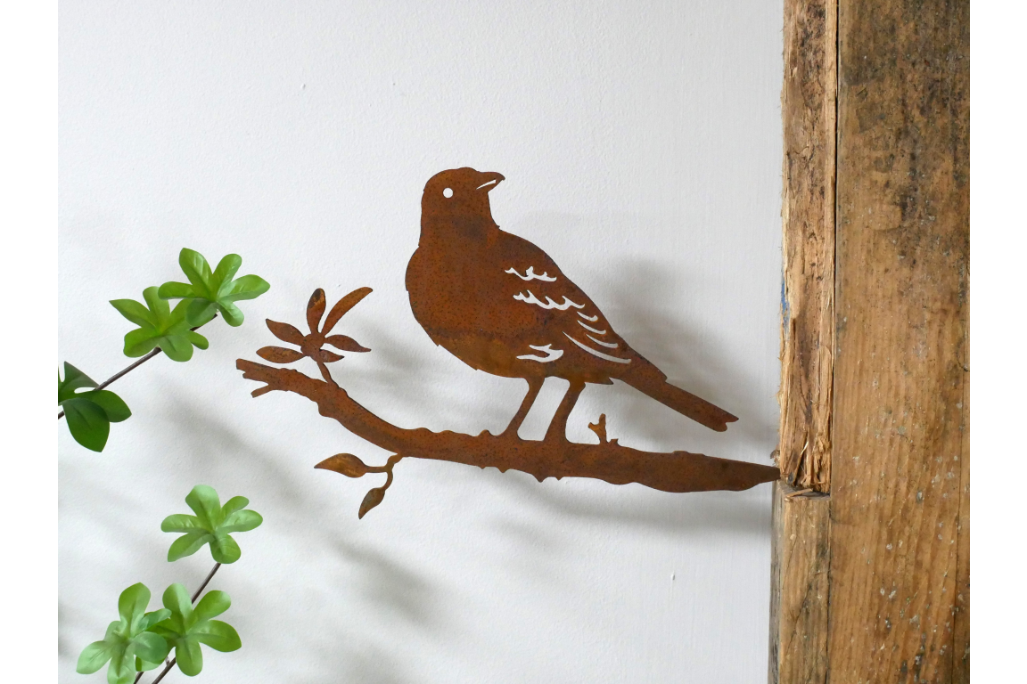 Bird Spike