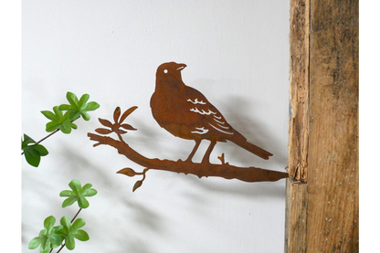 Bird Spike