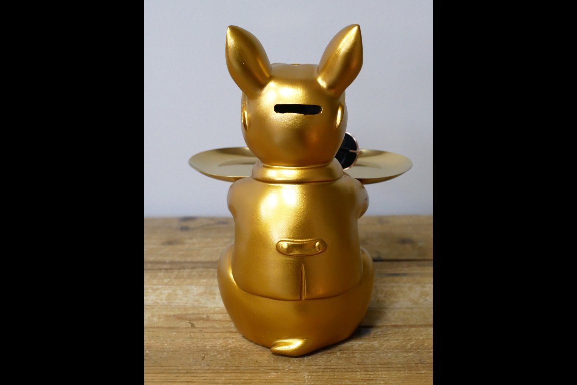 Dog With Tray