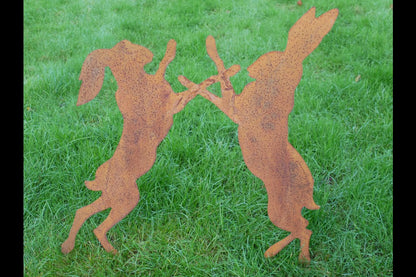 Rusty Fighting Hares Stake