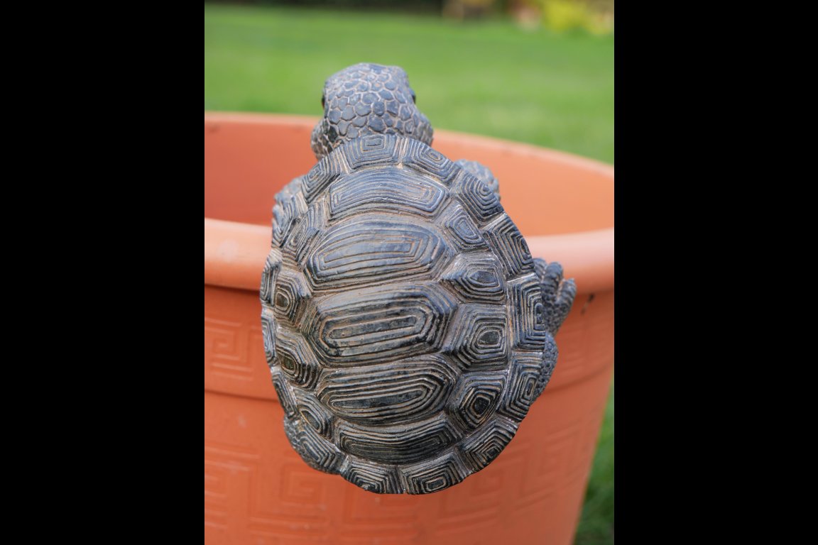 Pot Hanging Tortoise