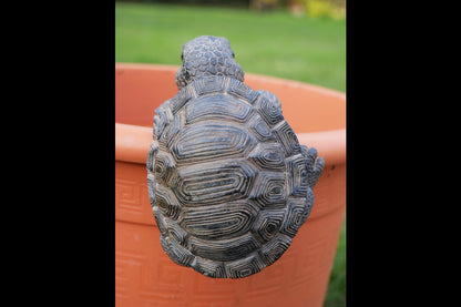 Pot Hanging Tortoise