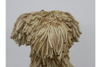 Sitting Shaggy Dog
