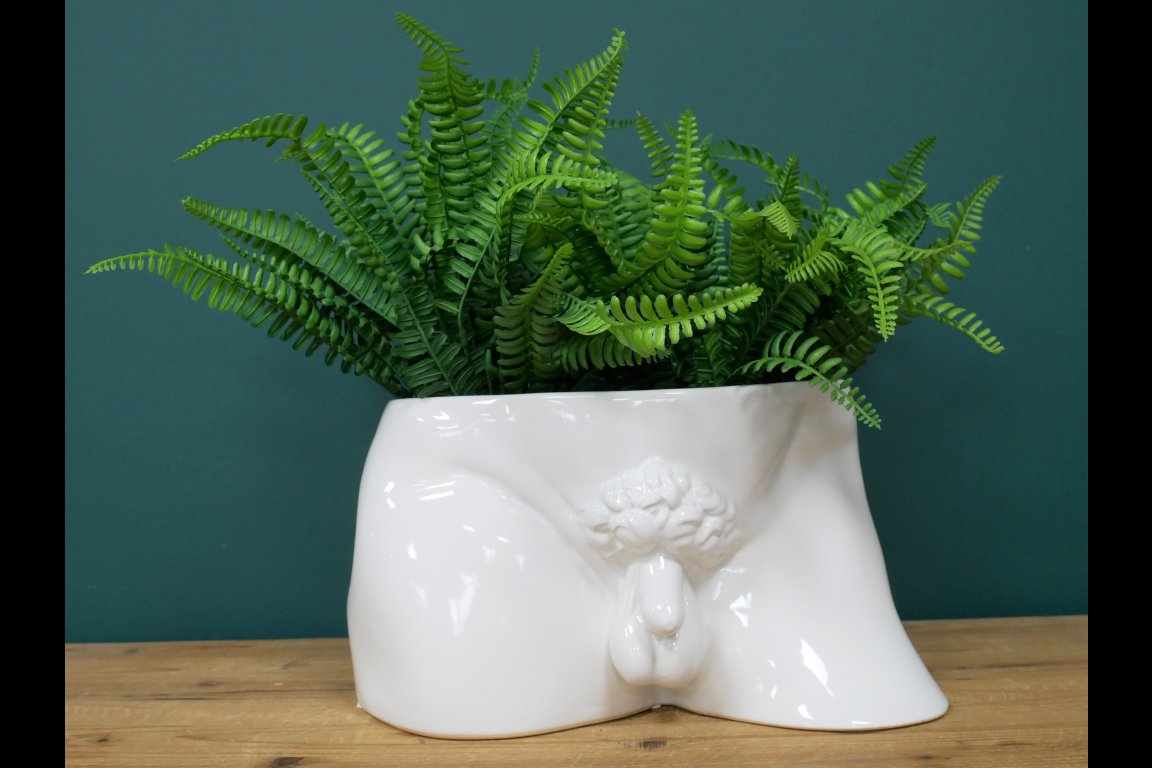 Man Planter