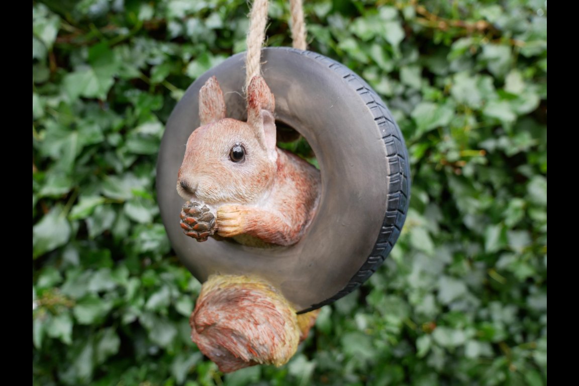 Squirrel In Tyre