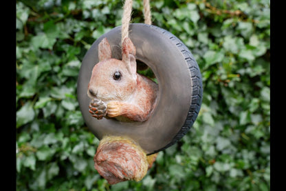 Squirrel In Tyre