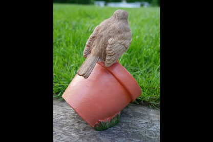 Bird Feeder