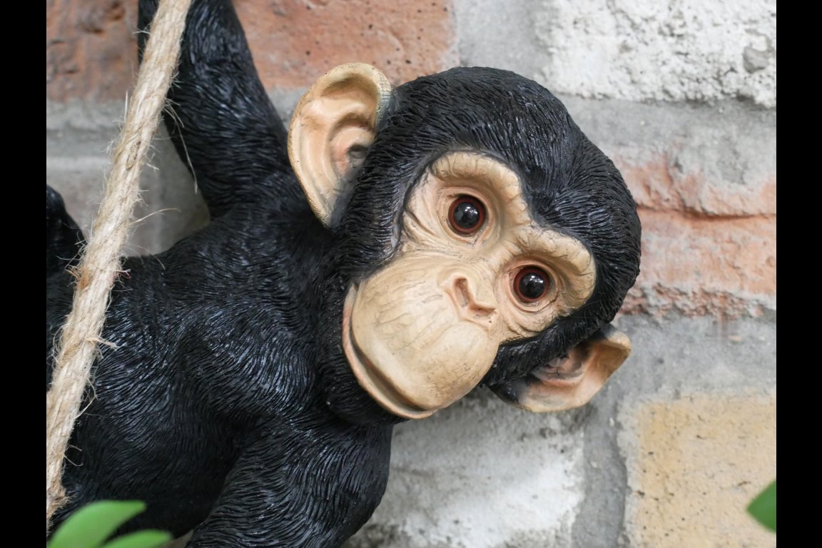 Swinging Monkey