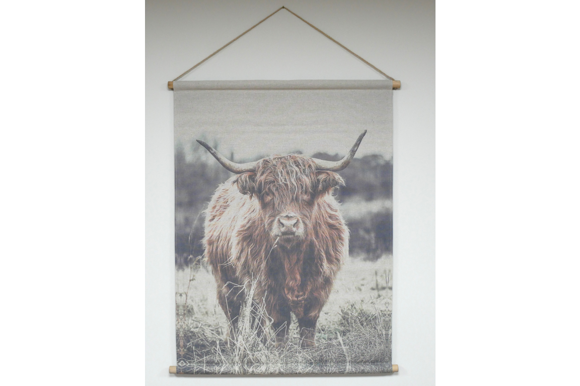 Wall Art - Highland Cow