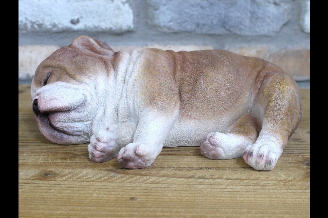 Sleeping Bulldog