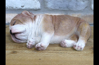 Sleeping Bulldog
