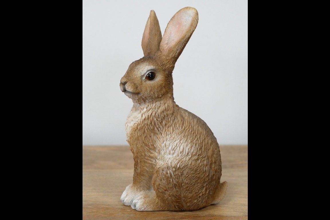 Rabbit