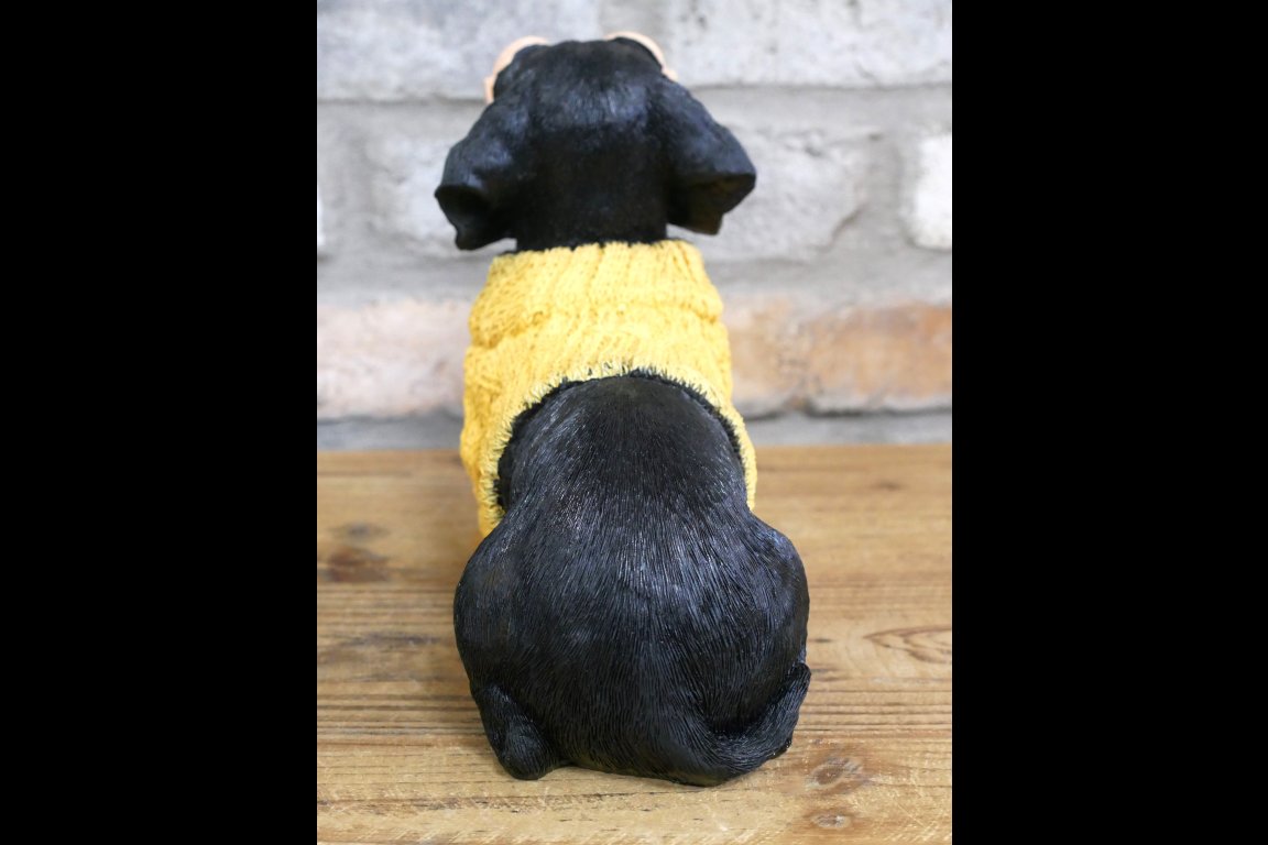 Dachshund Dog In Sweater