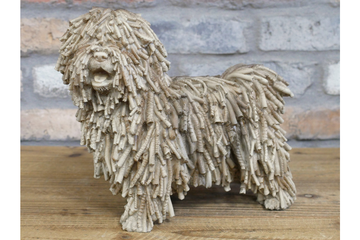 Shaggy Dog