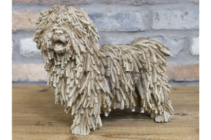 Shaggy Dog