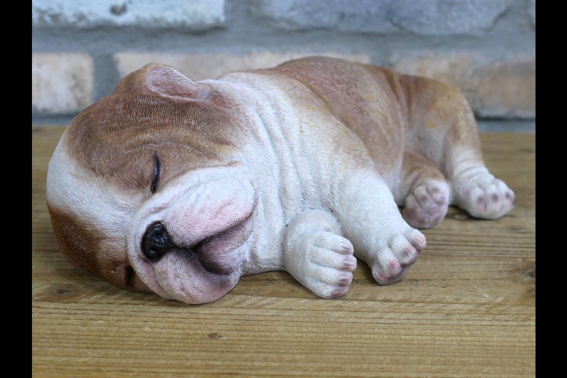 Sleeping Bulldog
